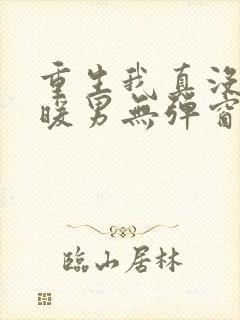 重生我真没想当暖男无弹窗封面