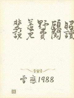 裴羡野顾昭宁小说免费阅读最新章节封面