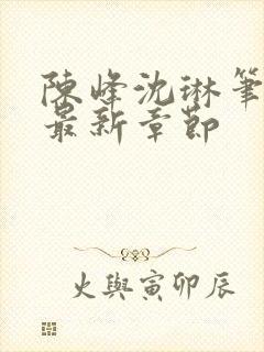 陈峰沈琳笔趣阁最新章节