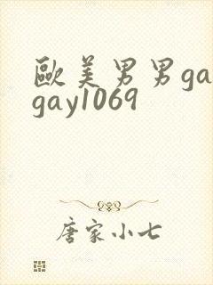 欧美男男gaygay1069