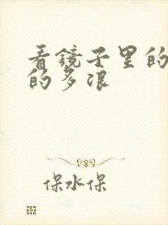 看镜子里的你叫的多浪