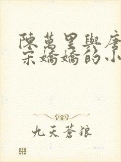 陈万里与唐嫣然宋娇娇的小说叫什么