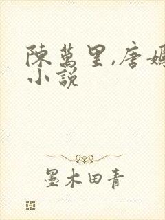 陈万里,唐嫣然小说