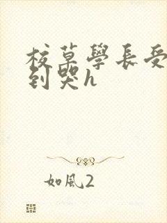 校草学长受被做到哭h