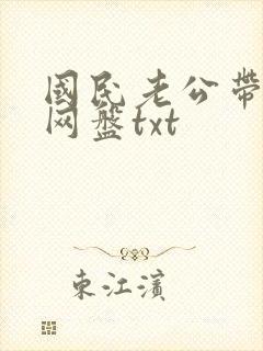 国民老公带回家网盘txt封面