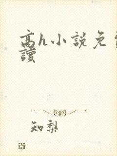 高h小说免费阅读