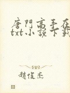 唐门高手在异世txt小说下载