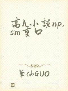 高h小说np,sm重口封面