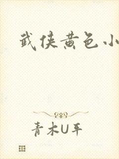 武侠黄色小说封面