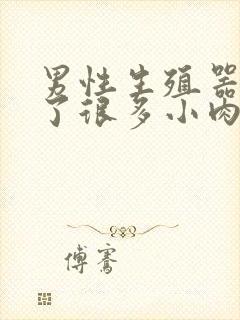 男性生殖器上长了很多小肉芽封面