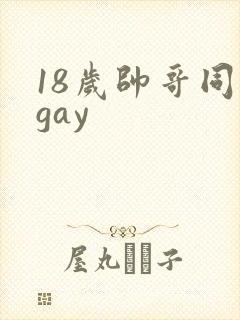 18岁帅哥同志gay