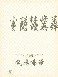 小说林峰宁欣免费阅读无弹窗