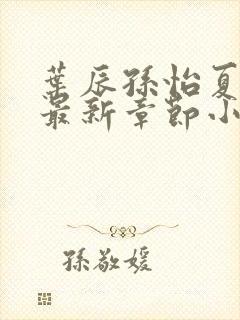 叶辰孙怡夏若雪最新章节小说心封面