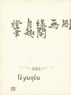 灯月缘无删减版笔趣阁