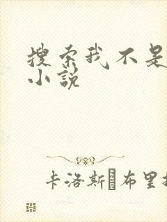 搜索我不是戏神小说