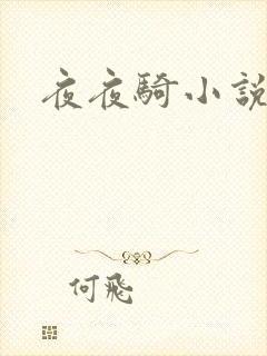 夜夜骑小说