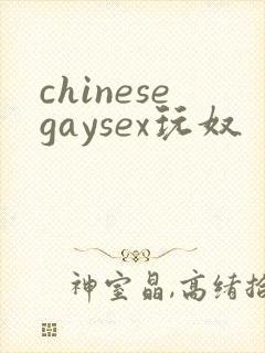 chinesegaysex玩奴