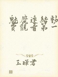 魅魔连结动漫免费观看第一季