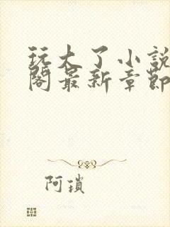 玩大了小说笔趣阁最新章节无弹窗