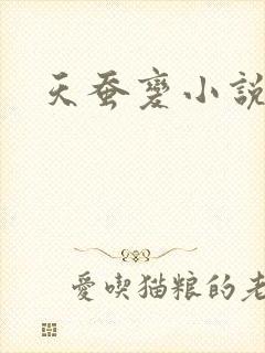 天蚕变小说封面