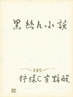 黑丝h小说