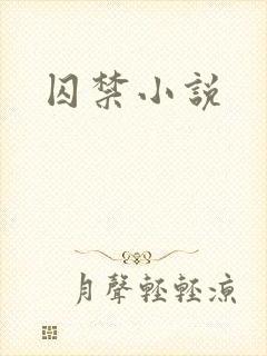 囚禁小说