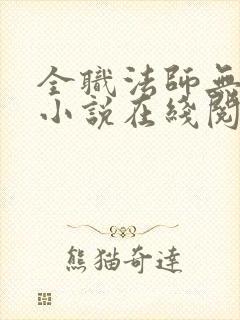 全职法师无删减小说在线阅读封面