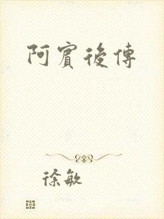 阿宾后传