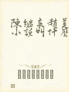 陈继来赵美媛的小说叫什么