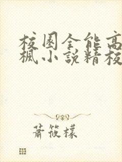 校园全能高手季枫小说精校版全集txt