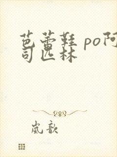 芭蕾鞋 po阿司匹林