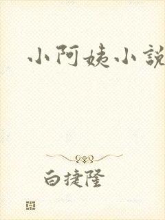 小阿姨小说
