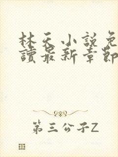 林天小说免费阅读最新章节封面