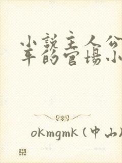 小说主人公叫周平的官场小说