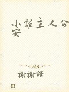 小说主人公叫陈安封面