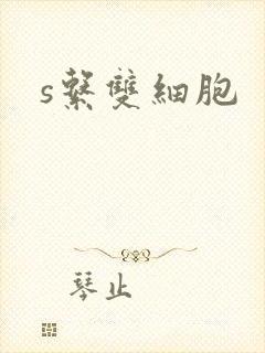 s系双细胞