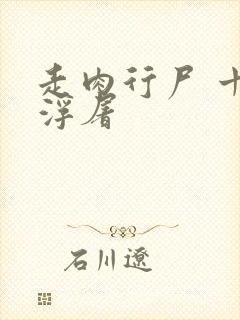 走肉行尸 十阶浮屠封面