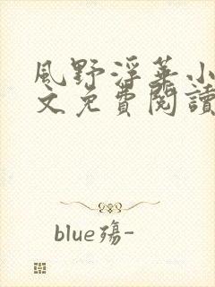 风野浮华小说全文免费阅读无弹窗