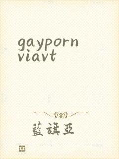 gaypornviavt封面