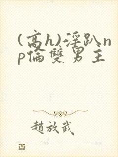 (高h)淫趴np伦双男主