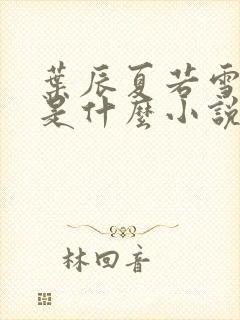 叶辰夏若雪孙怡是什么小说