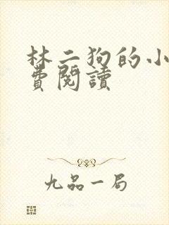 林二狗的小说免费阅读