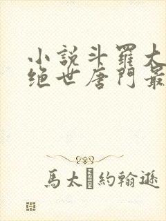 小说斗罗大陆2绝世唐门最新章节列表