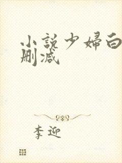 小说少妇白洁无删减