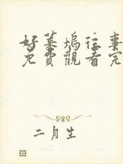 好莱坞往事在线免费观看完整版国语封面