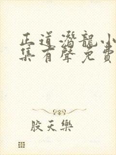 正道潜龙小说全集有声免费听封面