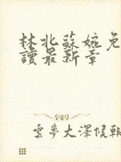 林北苏婉免费阅读最新章