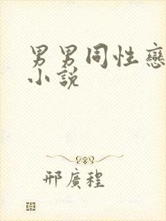 男男同性恋互操小说