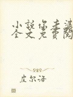 小说你老婆掉了全文免费阅读