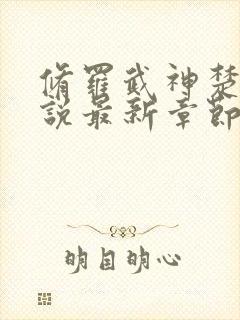 修罗武神楚枫小说最新章节列表最